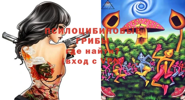винт Белокуриха