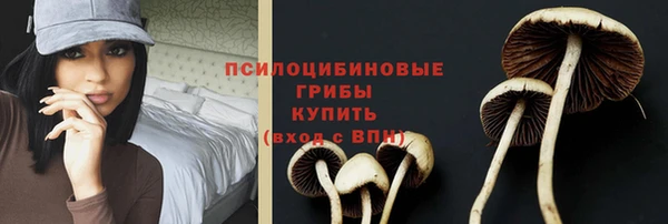 молекула духа Белоозёрский