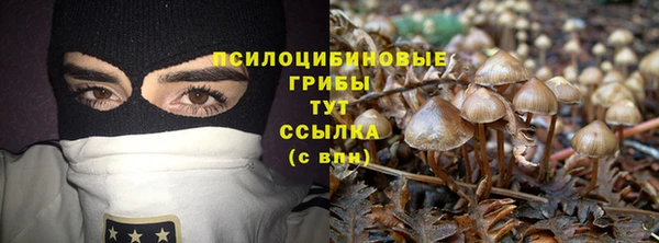 молекула духа Белоозёрский