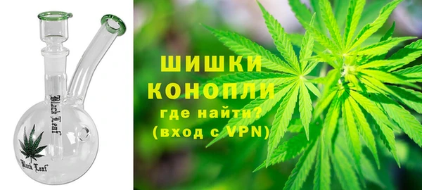 молекула духа Белоозёрский