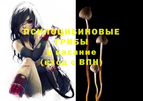 молекула духа Белоозёрский